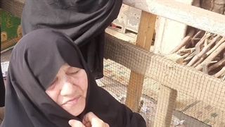 ایام فاطمیه بین الحرمین