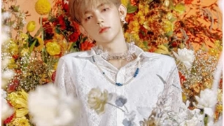 فتوکانسپت اول زیروبیسوان برای دبیو ژاپنی به صورت کامل