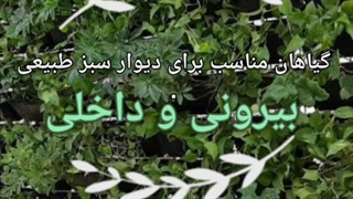 گیاه های مناسب برای فضای باز و بسته (سورن بام )