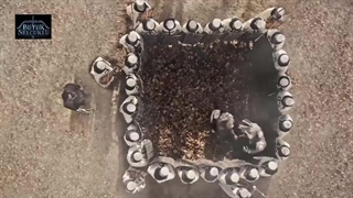 دانلود رایگان قسمت ۹و۱۰سریال آلپ ارسلان سلجوقیان بزرگ