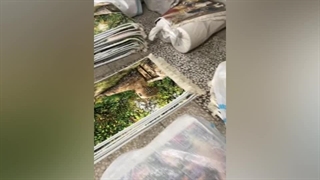 تابلو فرش های ماشینی ارسالی در هیدا دکور