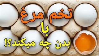 فکت های جالب و عجیب از تخم مرغ!