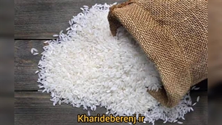 خرید برنج شیرودی از فروشگاه خرید برنج