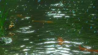 من اون اردکم:>>>"