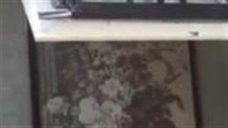 پله دراج مدل ایده