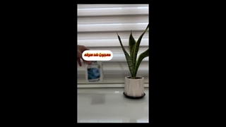 معجون ضد سرفه خوراکی (تیغال) (گیاه کالا)