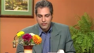 سریال کمدی کمتر دیده شده نود شب 9️⃣0️⃣ ساخته مهران مدیری 