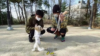 ویدئو پیاده روی _ 2021 _ کیونگسو و چانیول_به همراه جرو سگ چانیول_با زیرنویس فارسی چسبیده_*کپشن_720p