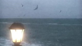 این صدا...آشناست"کپشن"