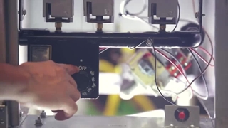 معرفی سرخ کن دین