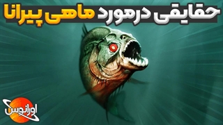 حقایقی در مورد ماهی پیرانا