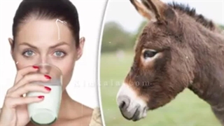 بهترین درمان با شیر الاغ طبیعی /09120750932