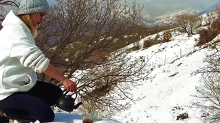 زیباترین لوکیشن های کردستان رو با اتوبوس های وی آی پی پایاسفر ببین