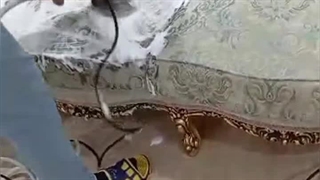 خشکشویی مبل در منزل تهران (گل پونه ها) 22836351__44744202