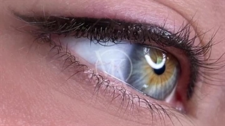 بن مژه دنباله دار و این همه جذابیت!