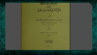 ادعای یکی از علمای اهل تسنن مبنی بر دیدار با امام زمان علیه السلام