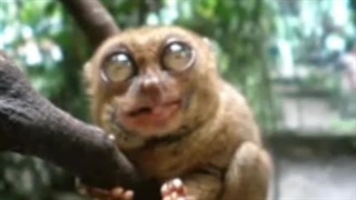 مهم _ توضیحات