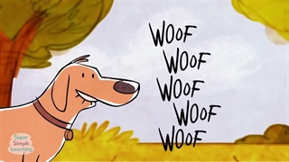 انیمیشن ها و کارتون های سطح بندی شده آموزشی سطح فرست فرندز 2 (I Have A Pet   Animal Song   Super Simple Songs)