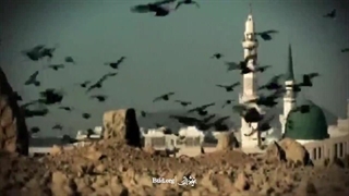 مداحی شهادت امام محمد باقر(ع) میثم مطیعی