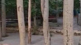 تور یک روزه رفتینگ اصفهان گروهی (مارکده،رودخانه زاینده رود)