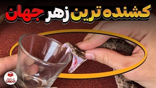 با این موجودات شاخ به شاخ نشید