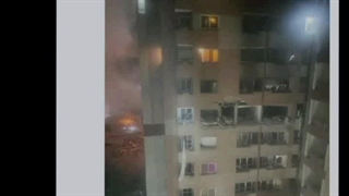 حرومزادگی این شکلیه: