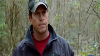 چوب بران باتلاق 7 دی 1402