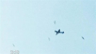 ایراننن پاینده